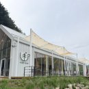 더파인캠핑 | 평창 휘닉스파크 디저트카페 파인리프 내돈내산 애견동반 단체모임추천
