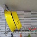 낮은굴뚝 애견펜션 이미지