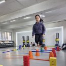 동진초병설유치원 이미지