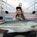 마블피시 이미지