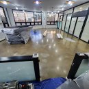 펫브릿지 이미지