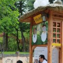 고선다락방 | 2017 남이섬 세계책나라 축제, 사람책 도서관 후기 그리고 인연으로 만난 분들께 드리는 글.