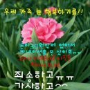 착한농원꽃