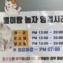 별이랑 놀자 이미지