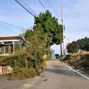 학현2리경로당 이미지