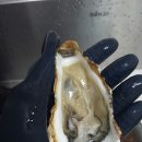 (주)석화 이미지