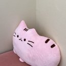 더캣 고양이쿠션 50cm 핑크캣애착쿠션 후기 인형쿠션으로 딱