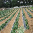 다루농장 이미지