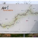 섬진강 자전거길 Daum카페