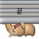 태리상점