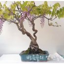 방죽골농장 이미지