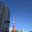 랜드마크타워 | [26.01.08.]일본 여행-도쿄 랜드마크 '도쿄 타워' 인생샷 명소 3곳 후기