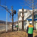 처리경로당 이미지