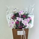 보건기프트 이미지