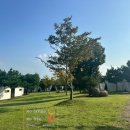 바다사랑펜션타운-1 이미지