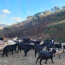 노화농장 이미지