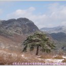 안성리-11 이미지