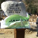 태서초등학교 이미지