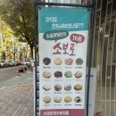 정자역빵집 가성비 소보로빵 맛집 소금과빛베이커리 포장 후기