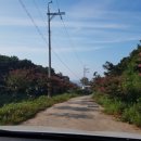 어울림펜션 캠핑장 이미지