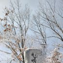 천반산휴양림화장실 이미지