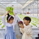 재임농장 이미지