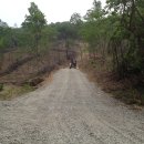 중부-현장-중부-311 이미지