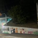 공원펫 | 부산 사하구 무료애견운동장 소형견 분리공간 펫파크공원 솔직후기