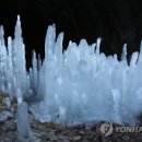 역고드름 이미지