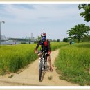 월곡동3 이미지