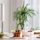 (주)픽셀즈 이미지