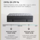 코지안가구 | 브랜드리스 이켈로스23 라지킹 구매 : 베스트슬립 대구수성점, 결제 꿀팁✨