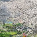 성북2리 마을회관 이미지