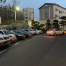 디올리앤 이미지