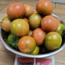 은율농장 이미지