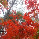용강동소금강 | 경포대펜션- 주변여행지.