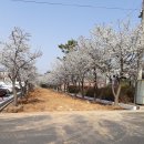 대소면사무소 이미지