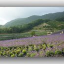 정읍농장 이미지