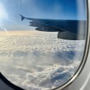 대만 타이베이 여행, 아시아나 항공 OZ712 탑승 후기 (타오위안 공항 면세점 주류 추천)