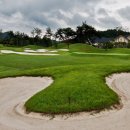 알프스대영 골프장 이미지