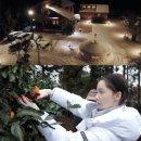 아트민박 이미지