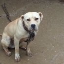 오공이 농장 이미지