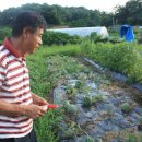 하경농장 이미지