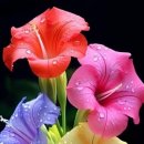 안덕산방도서관 이미지