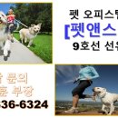 스테이보나 네이버블로그