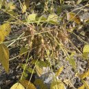 나린농장 이미지