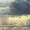 영상으로 떠나는 힐링 여행 수요반 | [미국서부여행] 7박 8일동안 미국 서부를 힐링 여행한 리얼(Real) 후기