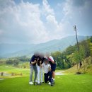 카츠 고릴라 이미지