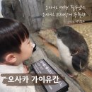 오사카 덴포잔 고래상어 수족관 해유관(가이유칸) 이용후기 & 예약방법