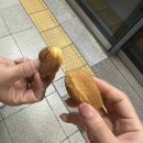 내머리어때 | 자기관리 하는 여자 어때? | 25.04(4)